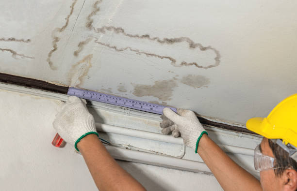 Reliable Burst Pipe Cleanup contractor in Albany, CA by Water Damage Irwin
